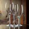 imageLenox 893077 Solitaire 4Piece AllPurpose Glass SetBeverage Glasses
