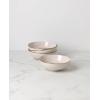 imageLenox 897313 Trianna Salad Plates Set of 4AllPurpose Bowls  Set of 4