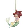 Ariel