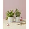 imageLenox 895082 French Perle Scallop 5X7 FrameHerb Pot with Tray