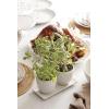 imageLenox 895082 French Perle Scallop 5X7 FrameHerb Pot with Tray