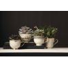 imageLenox Eternal 3Piece Place Setting Ivory Tea Cup  Ivory