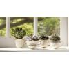 imageLenox Eternal 3Piece Place Setting Ivory Tea Cup  Ivory