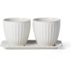 Herb Pot with Tray