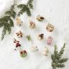imageLenox 6361265 Snoopy ampamp Friends 11Piece Christmas Tree Ornament Set Display Stand12Piece Ornament Set  12 Days of Christmas Mini Ornaments