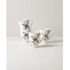 imageLenox Chirp 4Piece Place Setting 51 LB MultiMugs  Set of 4