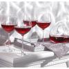 imageLenox Tuscany Classics 4piece Bordeaux Glass Set 335 LB Clear4 Count Pack of 1
