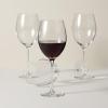 imageLenox Tuscany Classics 4piece Bordeaux Glass Set 335 LB Clear4 Count Pack of 1