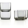 Short Glasses  Set of 4  Smoke