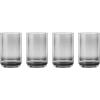 Stackable Coolers  Set of 4 (Smoke)