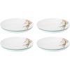Pasta Bowls  Set of 4