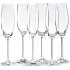 Party Flutes