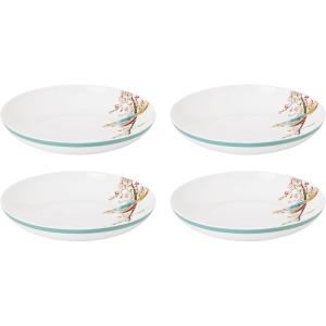 imageLenox Chirp 4Piece Place Setting 51 LB MultiPasta Bowls  Set of 4