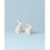 imageLenox 893454 Butterfly Meadow Bunny Cookie Jar Easter ServewareSalt  Pepper Set