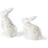 imageLenox 893454 Butterfly Meadow Bunny Cookie Jar Easter ServewareSalt  Pepper Set