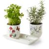 imageLenox 895241 Butterfly Meadow 3Piece Herb Pots ampamp Tray Set