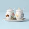 imageLenox Butterfly Meadow 7Piece Condiment Set White 