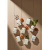 imageLenox Butterfly Meadow Baking Spice Jars Set of 4 140 LB Multi