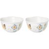 Dessert Bowls  Set of 2