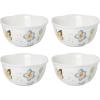 Dessert Bowls  Set of 4
