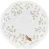 Saucer