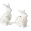 Salt & Pepper Set