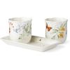 imageLenox 895241 Butterfly Meadow 3Piece Herb Pots ampamp Tray Set
