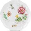 Dinner Plate