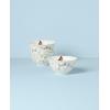 imageLenox 894543 Butterfly Meadow Vines 4Piece Rice Bowl SetRice Bowls  Set of 4