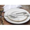imageLenox Federal Platinum 5Piece Stainless Steel Flatware Place Setting Service for 1 Silver Platinum