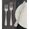 imageOneida Flight 65 Piece Everyday Flatware Service for 12 180 Stainless Steel Silverware Set Dishwasher SafeSalad Fork
