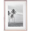 Picture Frame  5x7