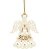 A Year to Remember Angel