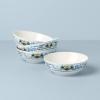 imageLenox 893459 Autumn Studio Dinner Plate Set 596 4PieceAllPurpose Bowls  Set of 4