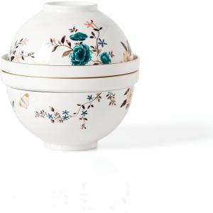 imageLenox Sprig ampamp Vine Luna Nesting Dinnerware Set 981 White