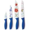 4-Piece Knife Set