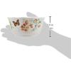 image:imageLenox 856406 Butterfly Meadow Melamine 4Piece AllPurpose Bowl Set Lightweight Melamine Material4 Count