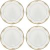 Dinner Plates  Set of 4