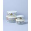 image:imageLenox 897944 Butterfly Meadow Glass Food Storage Containers With Lids Set Of 4