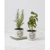 image:imageLenox 898924 Chef Snoopy 3Piece Herb Pot amp Tray Set