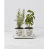 image:imageLenox 898924 Chef Snoopy 3Piece Herb Pot amp Tray Set